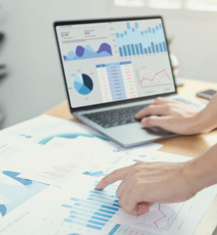 Profit and Loss Statements