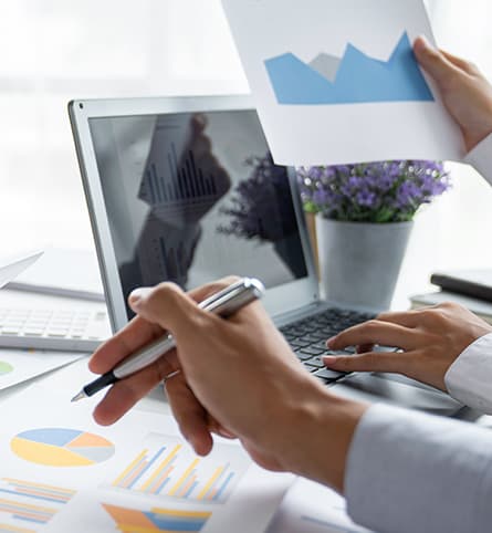 Audit Support Services