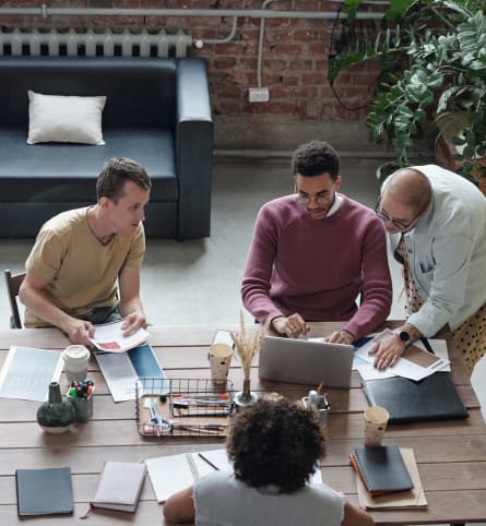 Management Accounts & Reports